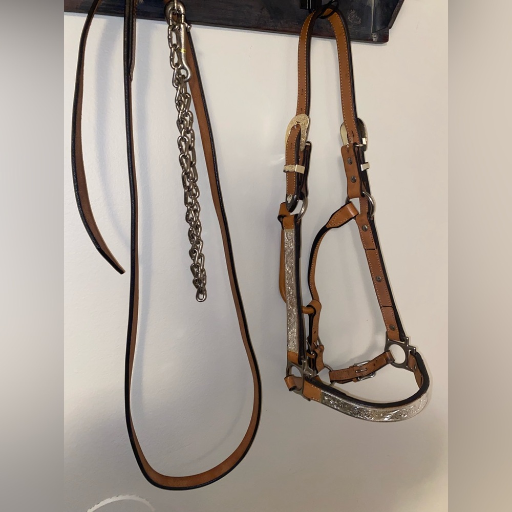 Show Halter - Picture 2 of 6